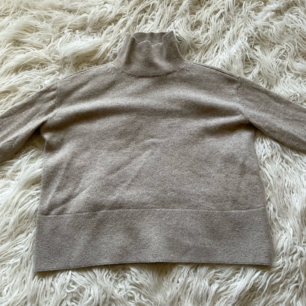 Everlane Heather Oat Mock Neck Sweater